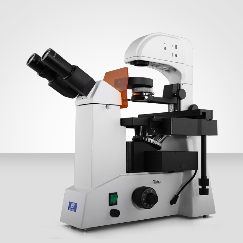 MSD550-3 LED倒置熒光顯微鏡