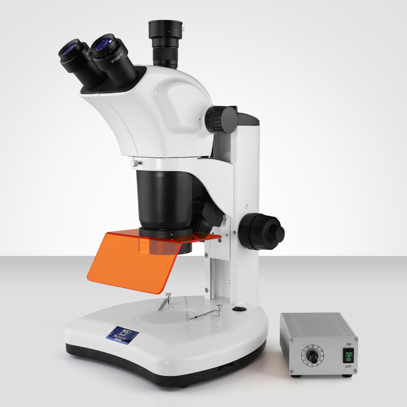 MSD540體式熒光顯微鏡
