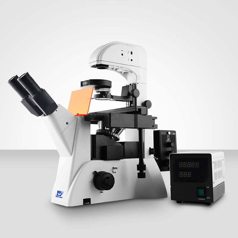 MSD530倒置熒光顯微鏡