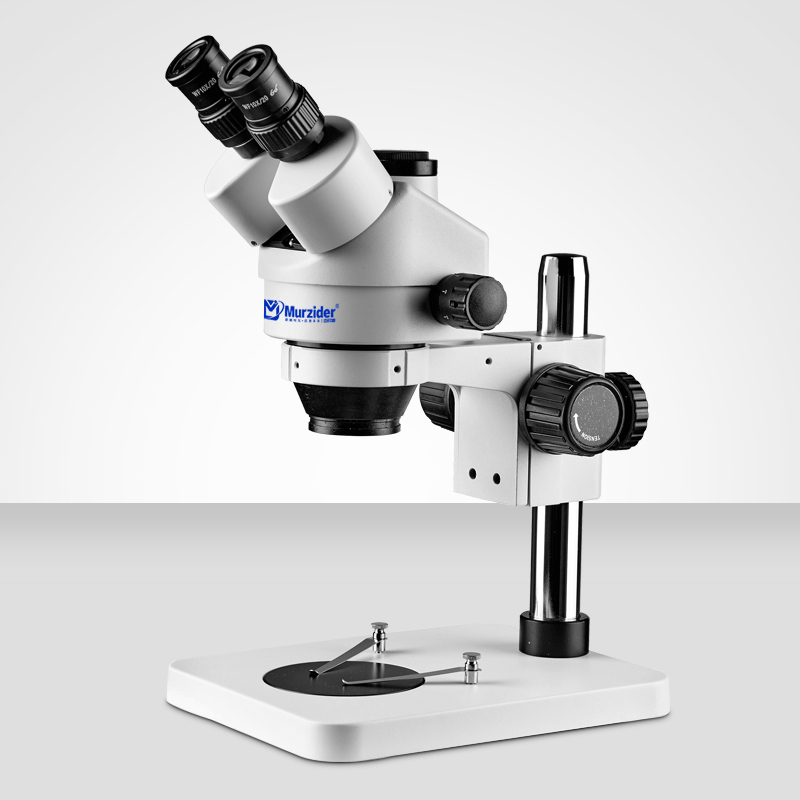 MSD202-B1體式顯微鏡