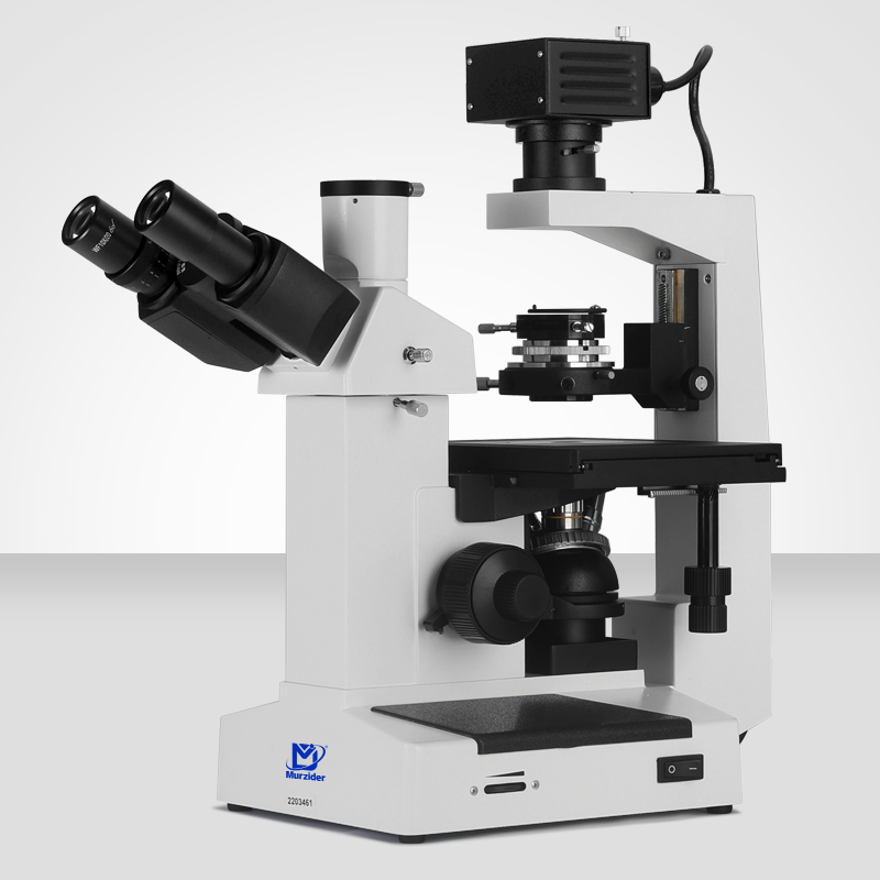 MSD502倒置生物顯微鏡