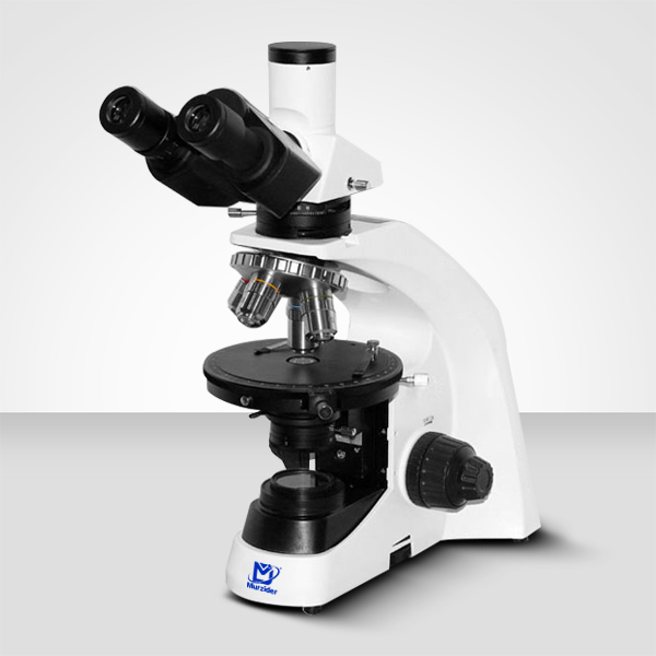 MSD6555透射偏光顯微鏡