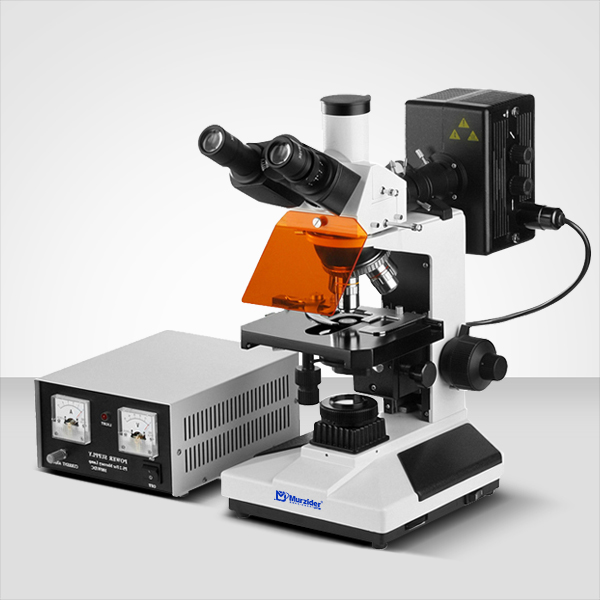 MSD7001熒光顯微鏡