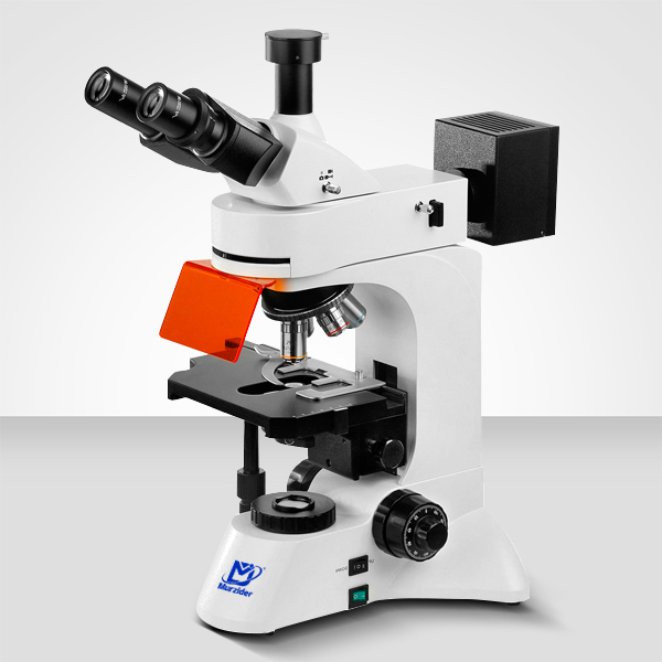 MSD7550LED熒光顯微鏡